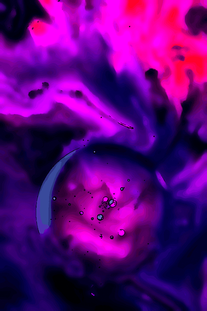 Ton principe directeur #1