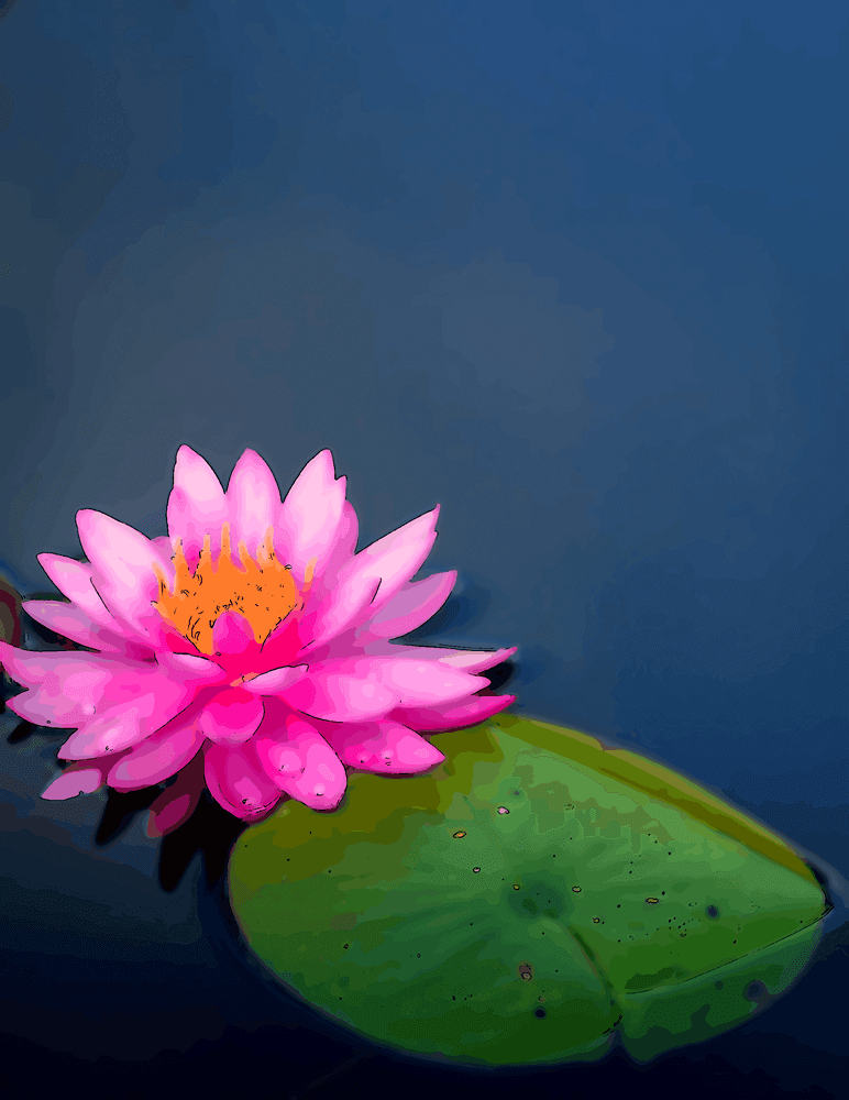 Impermanence et pertes