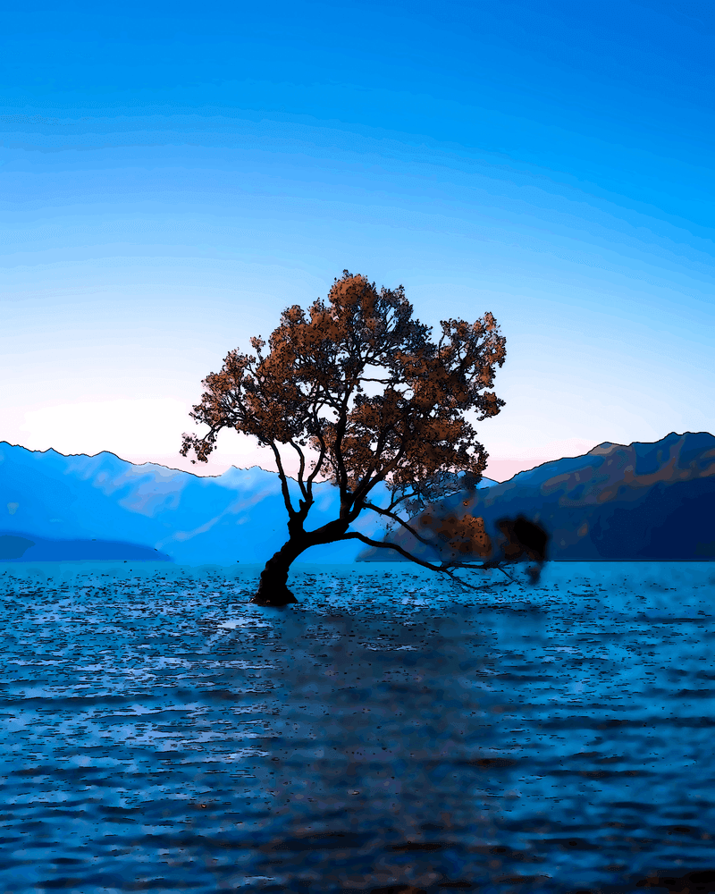 Harmonie avec le Tout