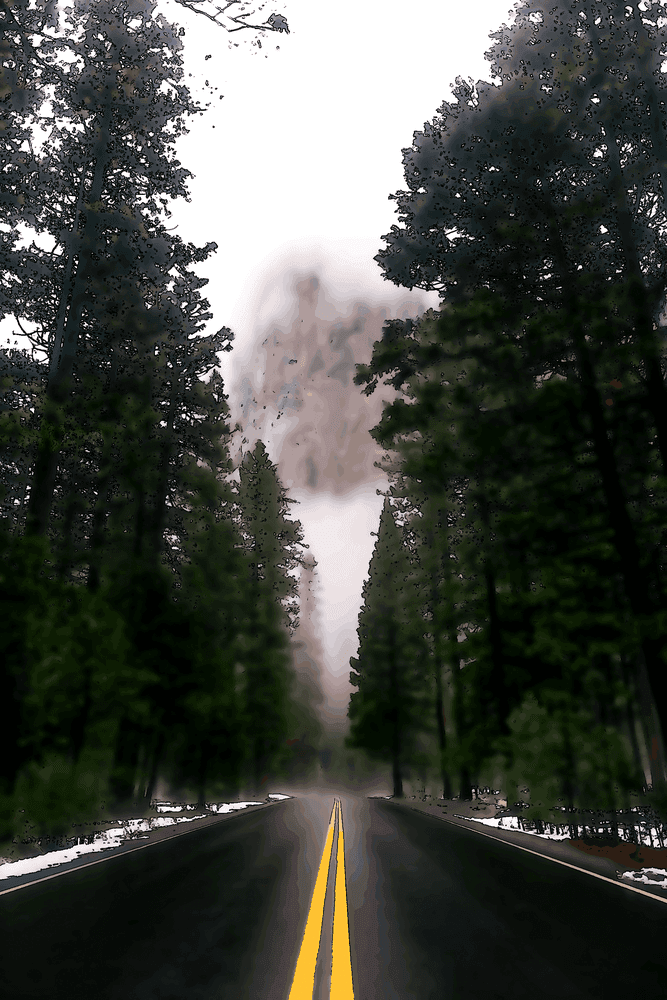 Illustration de l'article : Ton Principe Directeur