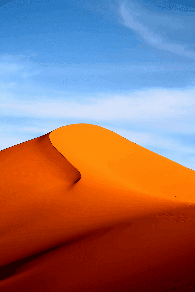 Illustration de l'article : Let things go