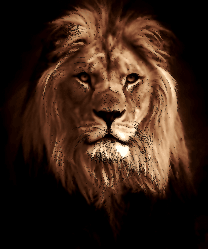 Illustration de l'article : You aren’t wise