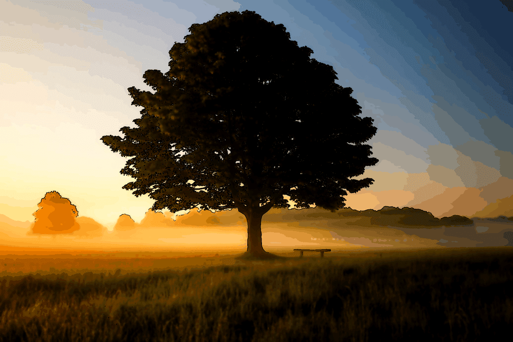 Illustration de l'article : Don't let other people's glances define your inner worth