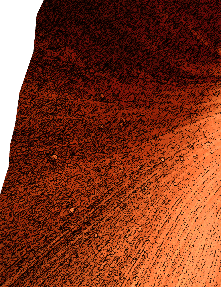 Le véritable spécimen humain