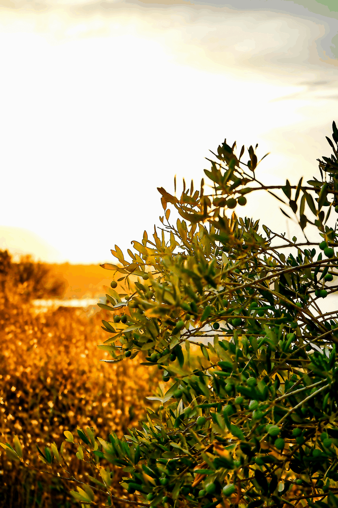 On n’efface pas sa nature