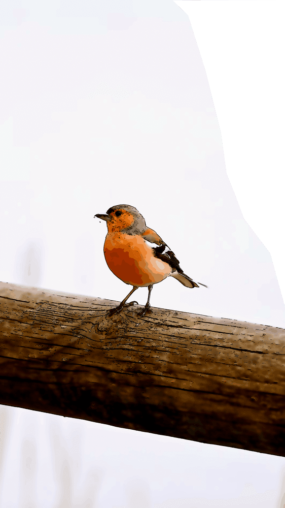 Je ne dirai pas que c’est suprême juste pour te faire plaisir