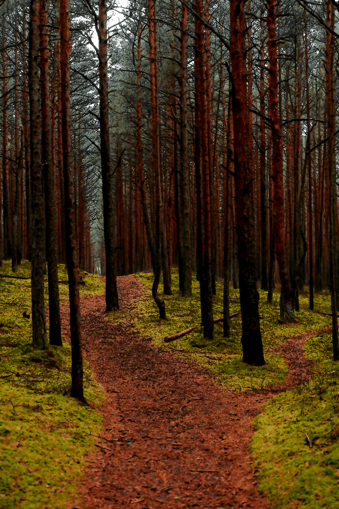 Ne te laisse pas dominer par les résultats