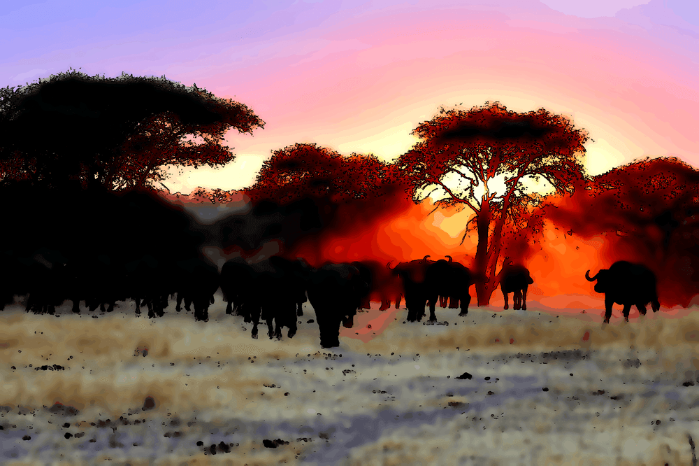 Prépare-toi à être moqué si tu choisis la philosophie