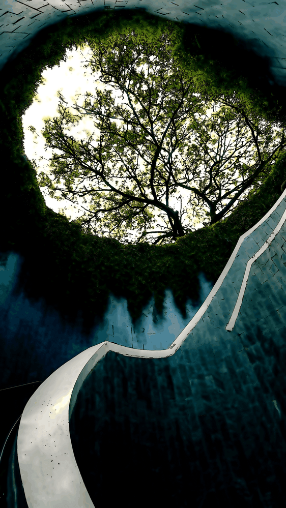 Même les patriciens peuvent manquer d’affection