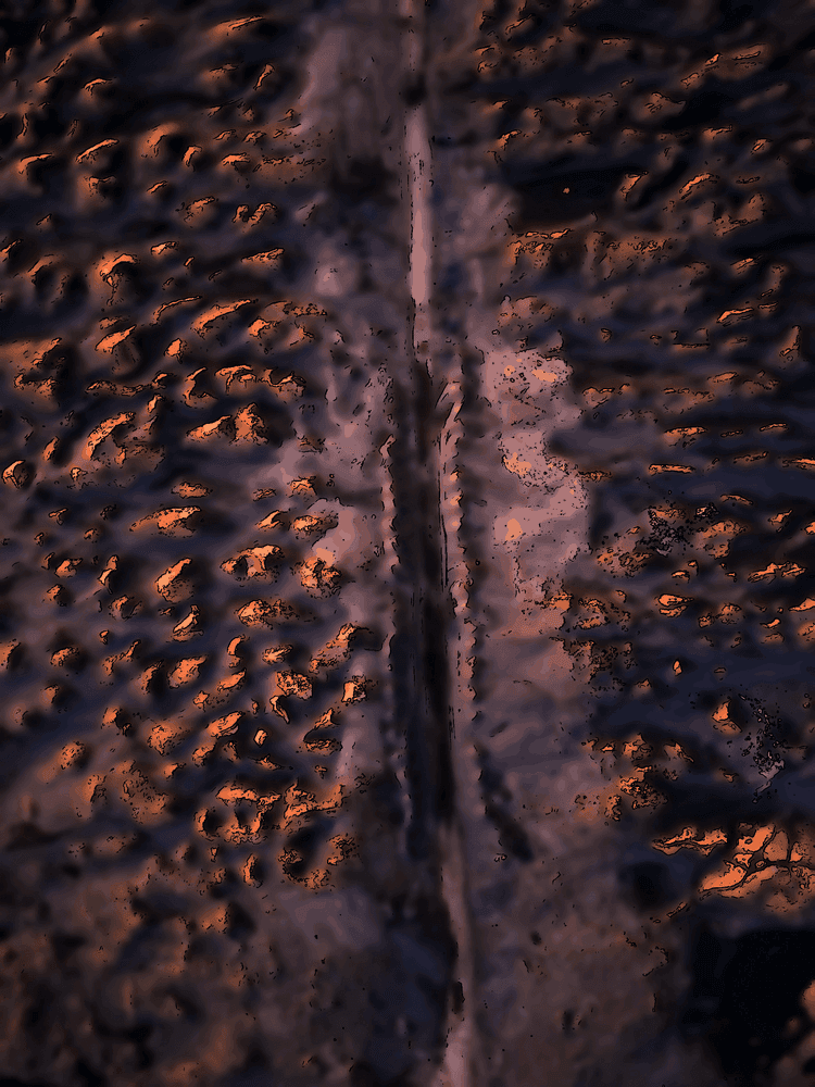 Suis la raison, et accepte la correction