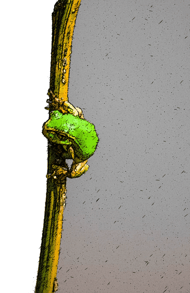 "L’intention derrière chaque action