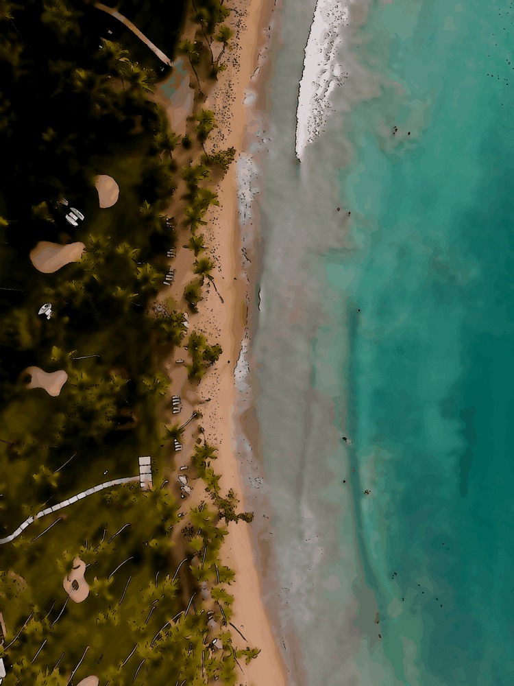 Trouve de la joie dans les vertus des autres