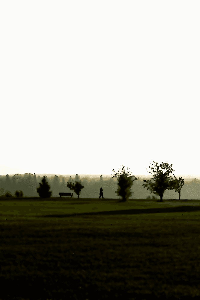 Pourquoi chercher la gloire posthume ?