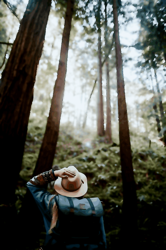 Un esprit sans passion est ta citadelle