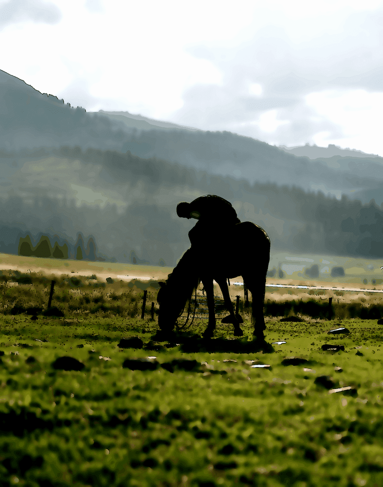 La justice exige clarté et constance