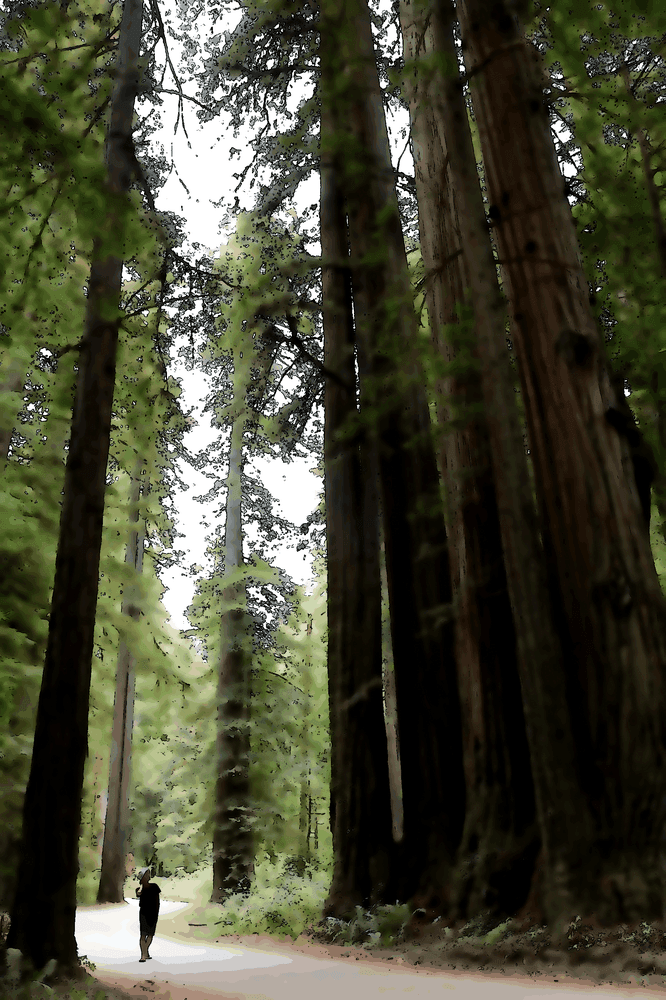 Pourquoi accorder plus d’importance à l’avis d’autrui qu’au tien ?