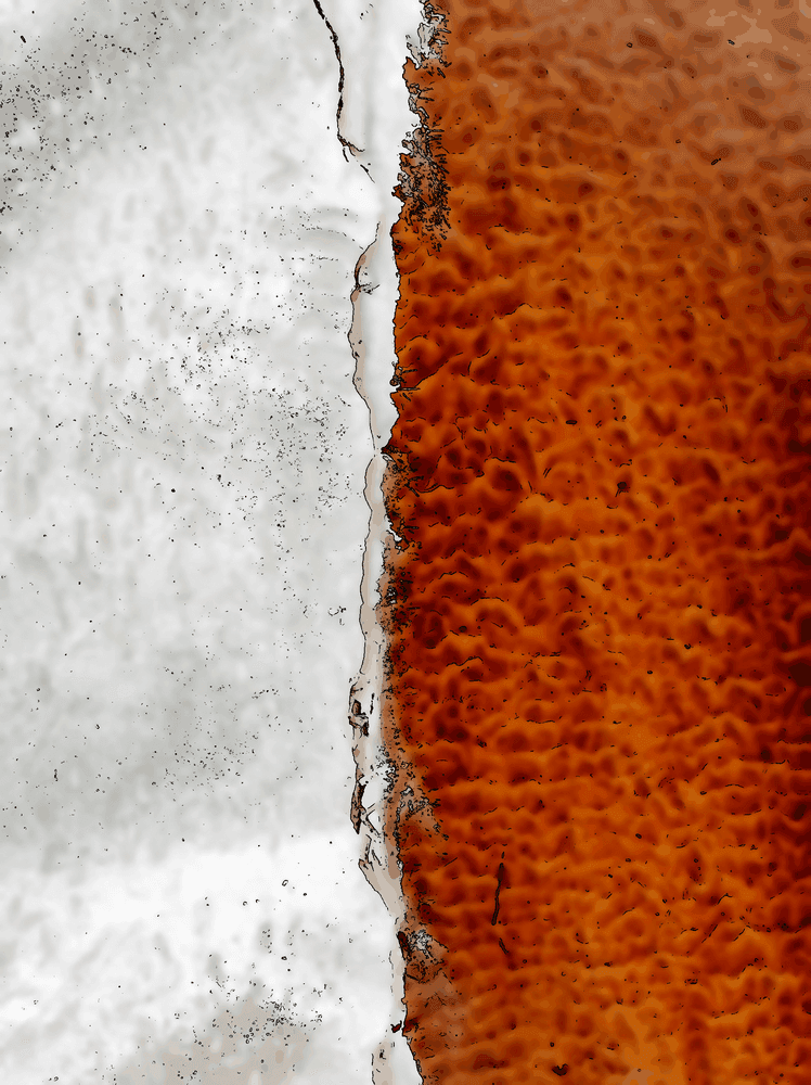 Ne blâme ni le hasard ni le destin