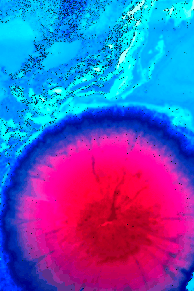 Le philosophe qui cultive la terre