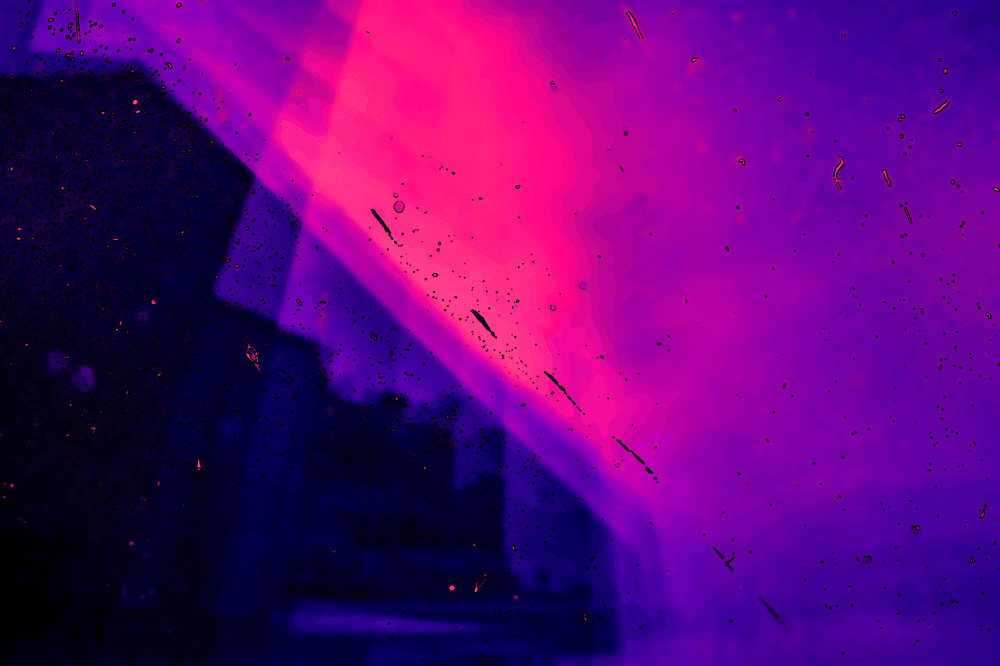 Félicite-toi de ce qui est tien