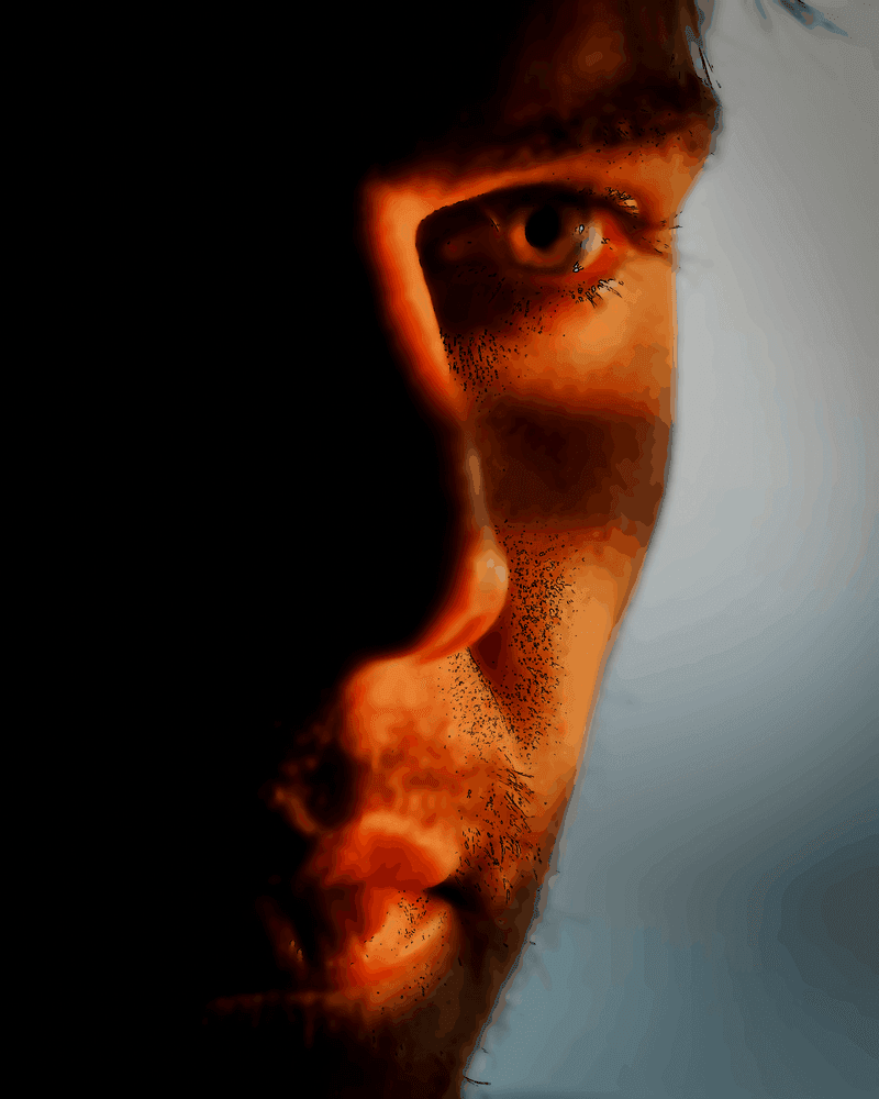 Les passions des bêtes sont des ombres