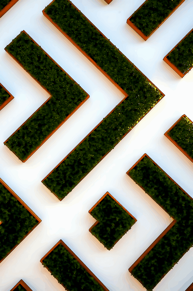 Les nerfs du philosophe