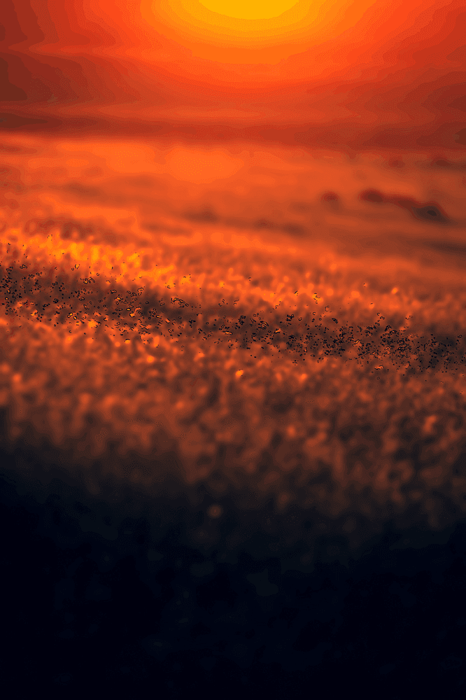 Méditation sur la méditation