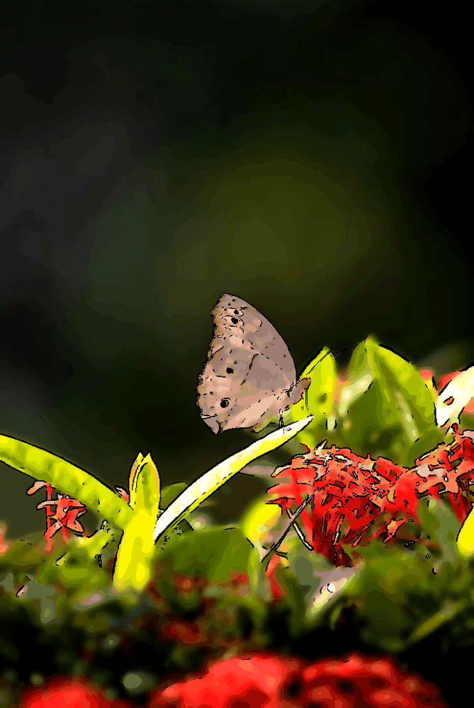 Illustration de l'article : When the insult slips