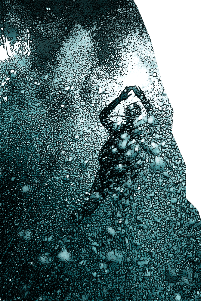 Les quatres maladies de l’esprit 