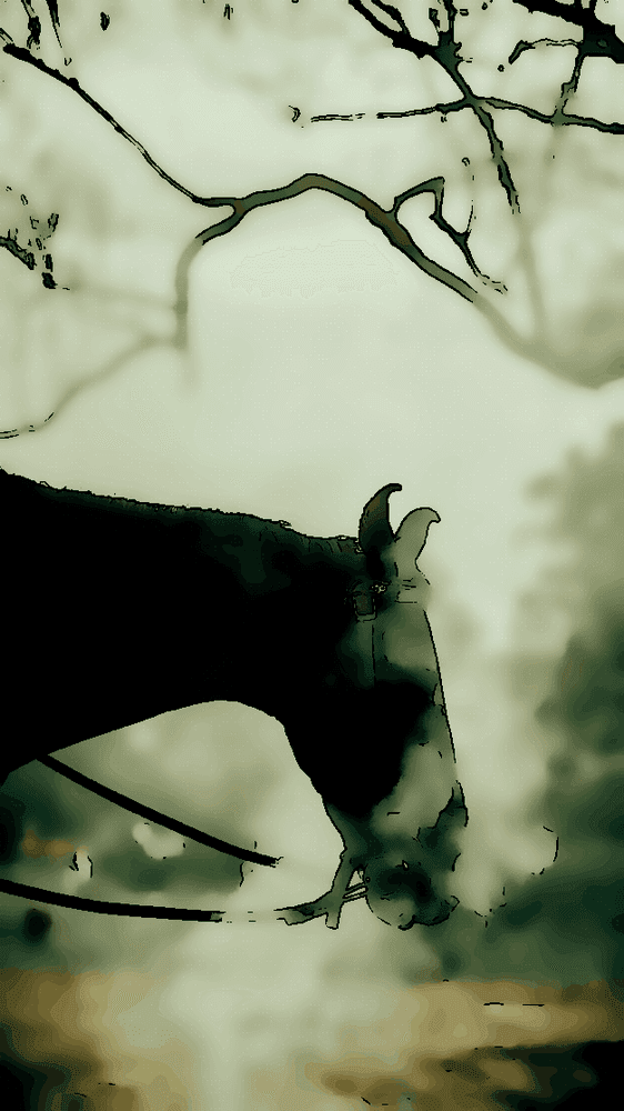 Volonté de puissance