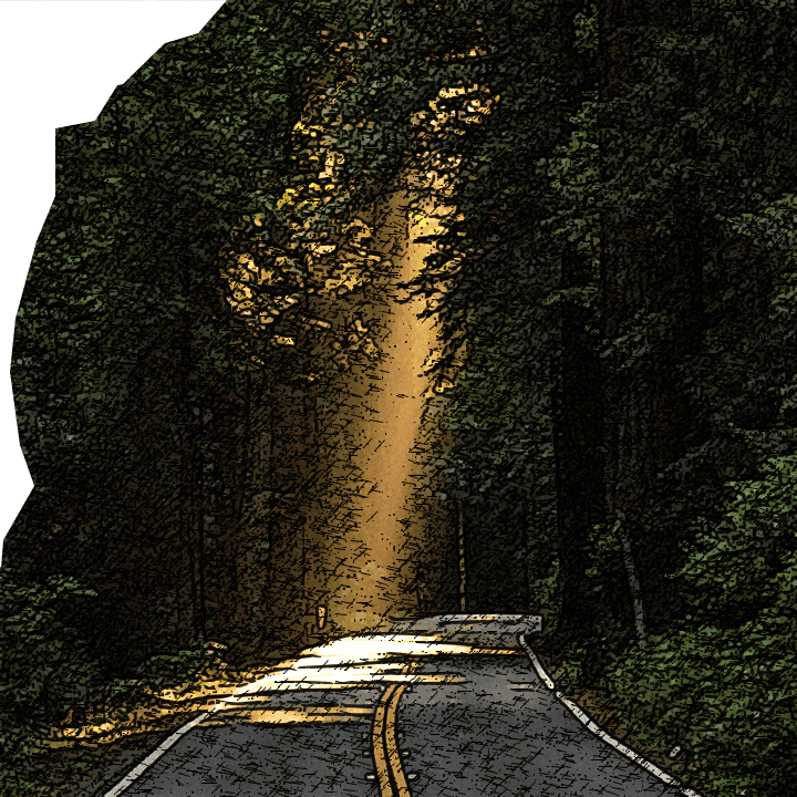 road and sunlight